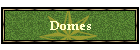 Domes